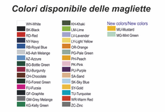SCELTA COLORE